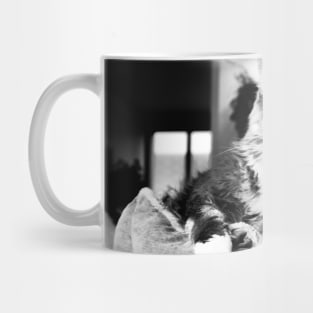 Cat main coon black and white II / Swiss Artwork Photography Mug